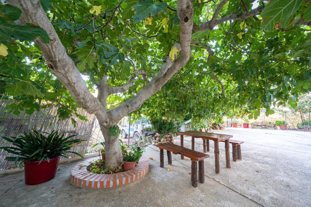 Hostal Vista A La Sierra Valle de Abdalagís 외부 사진